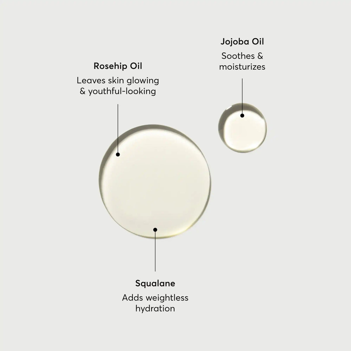 the-glow-getter-body-oil-s8 NATR-10115-Alt-Images-The-Glow-Getter-Body-Oil-01.webp