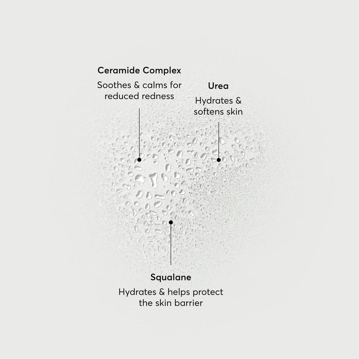 barrier-bounce-bi-phase-mist-r8 NATR-10167-Alt-Images-Barrier-Bounce-Bi-Phase-Toner-Mist_01.webp