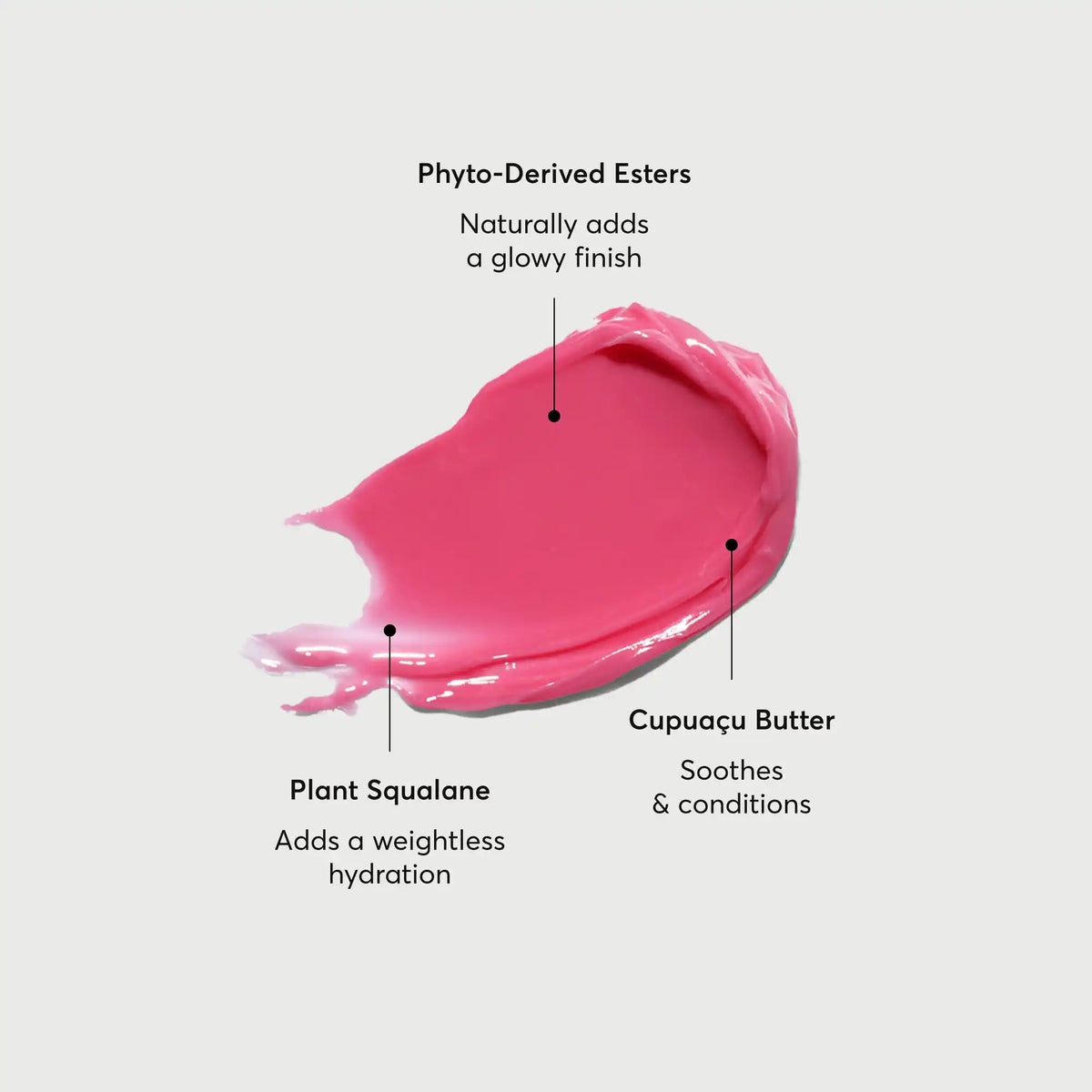 phyto-glow-lip-balm-camellia-w5 NATR-60075-Alt-Images-Phyto-Glow-Lip-Balm-Camellia-01.webp